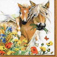 Servietten 33x33 cm - Horses in Summer Meadow