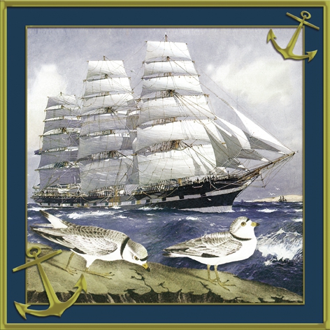 Servietten 33x33 cm - Windjammer